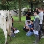 Actions à destination des éleveurs « jeunes installés »