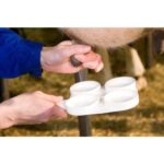 Qualité du lait : plan de prévention des mammites et des cellules